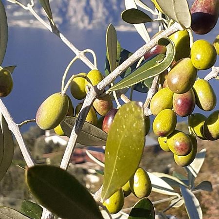 Appartamento Leccino Malcesine Exterior photo