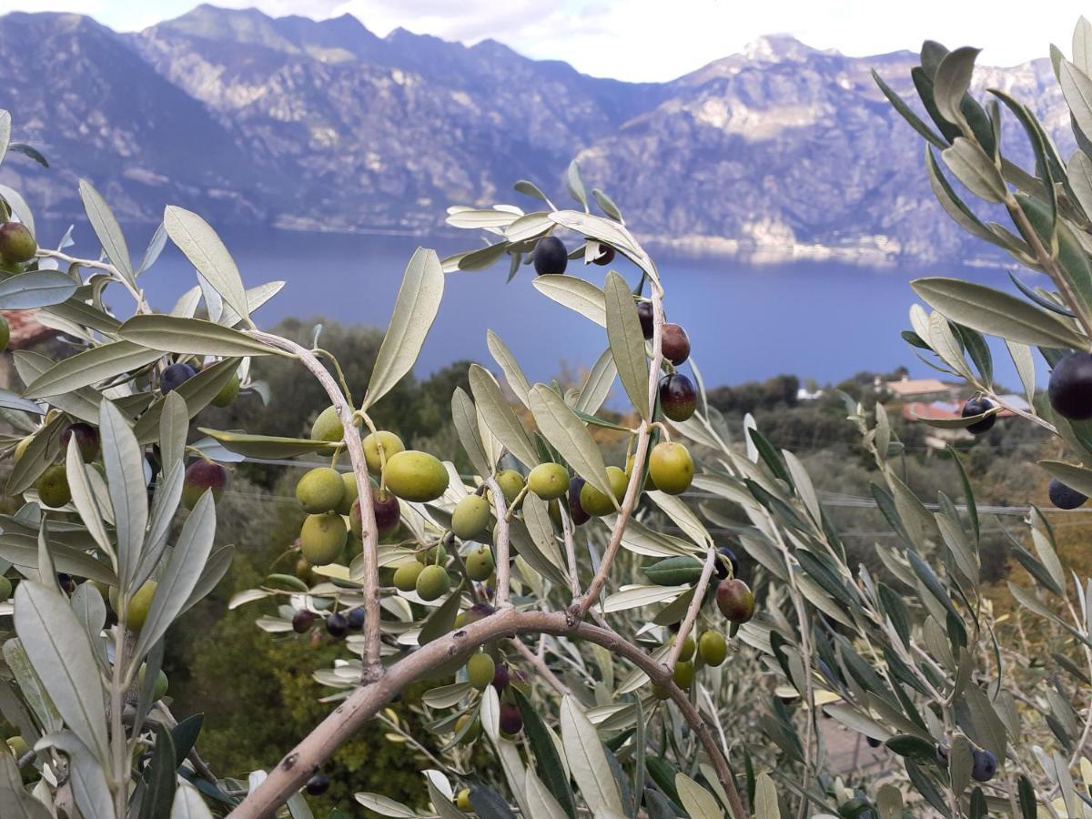 Appartamento Leccino Malcesine Exterior photo